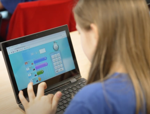 Excellence Through Differentiation With Mathseeds and Mathletics: A Brentwood Park Primary School Case Study